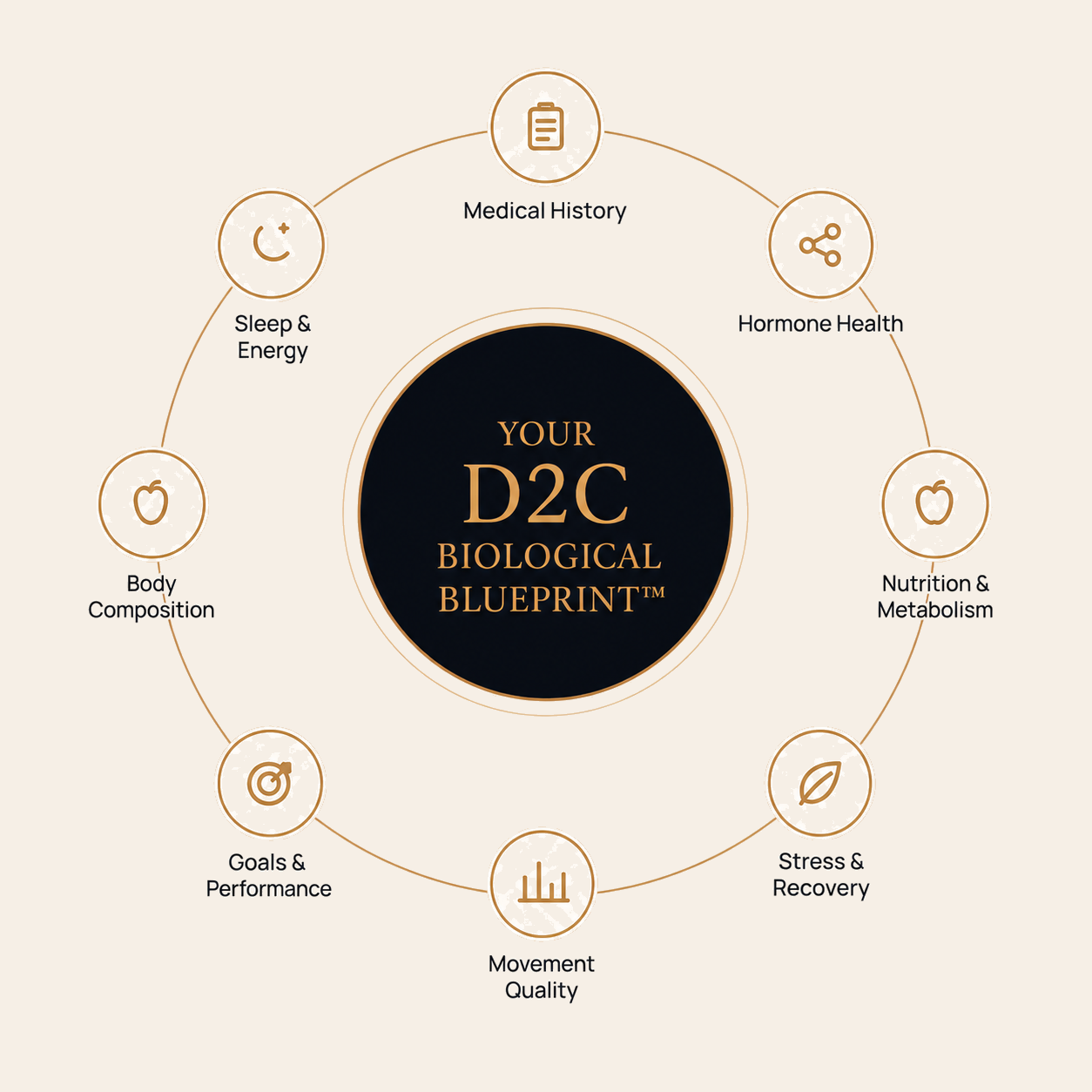 D2C Biological Blueprint wheel showing medical history, hormone health, nutrition and metabolism, stress and recovery, movement quality, goals and performance, body composition, and sleep and energy.
